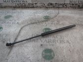 Tailgate/trunk strut/damper