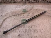Tailgate/trunk strut/damper