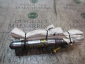 Airbag de la puerta delantera