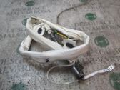 Airbag de la puerta delantera