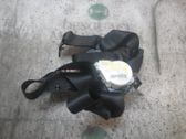 Cinturón trasero