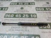 Amortiguador/puntal del maletero/compartimento de carga