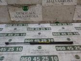 Amortiguador/puntal del maletero/compartimento de carga