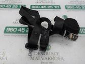 Cinturón trasero