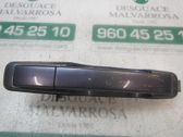 Manecilla externa puerta trasera