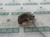 Bremssattel hinten