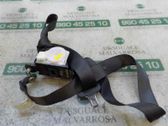 Cinturón trasero