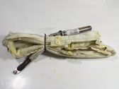 Airbag de la puerta delantera