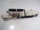 Airbag de la puerta delantera