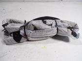 Airbag de la puerta delantera
