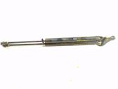 Tailgate/trunk strut/damper