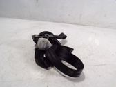 Cinturón trasero