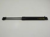 Tailgate/trunk strut/damper