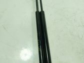 Tailgate/trunk strut/damper