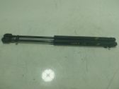 Tailgate/trunk strut/damper