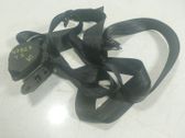 Cinturón trasero