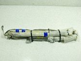 Airbag de la puerta delantera