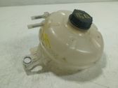 Fuel expansion tank