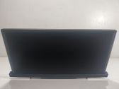 Pantalla del monitor frontal