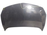 Engine bonnet/hood