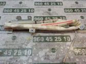 Airbag de la puerta delantera