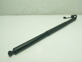 Tailgate/trunk strut/damper