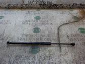 Tailgate/trunk strut/damper
