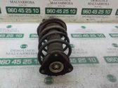 Amortiguador delantero con muelle espiral