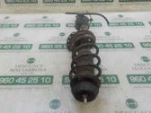 Amortiguador delantero con muelle espiral