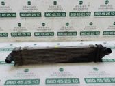 Radiador intercooler