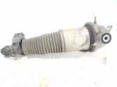 Stoßdämpfer hinten