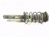 Amortiguador delantero con muelle espiral