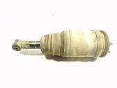 Rear shock absorber/damper
