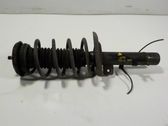 Front shock absorber with coil spring