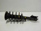 Amortiguador delantero con muelle espiral