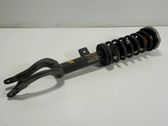 Amortiguador delantero con muelle espiral