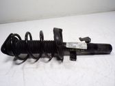 Front shock absorber with coil spring
