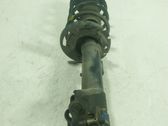 Front shock absorber with coil spring