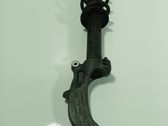 Amortiguador delantero con muelle espiral
