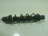 Amortiguador delantero con muelle espiral