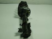Front shock absorber with coil spring