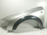 Guardabarro