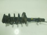 Amortiguador delantero con muelle espiral