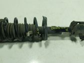 Amortiguador delantero con muelle espiral