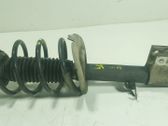 Amortiguador delantero con muelle espiral