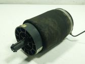 Front coil spring