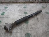 Stoßdämpfer hinten