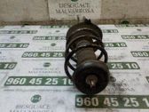 Amortiguador delantero con muelle espiral