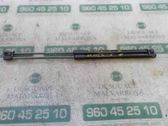 Amortiguador/puntal del maletero/compartimento de carga
