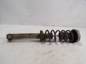 Rear shock absorber/damper